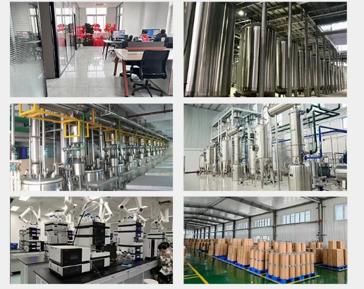 Glycyrrhizic Acid Powder factory